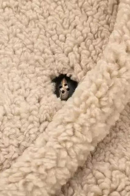 Camille | De Knusse Winterjas